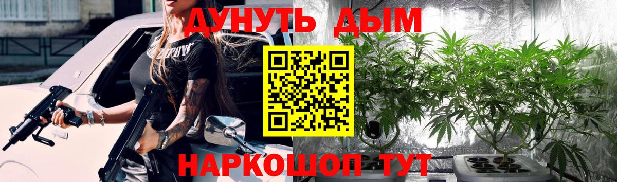 Конопля сатива Унеча